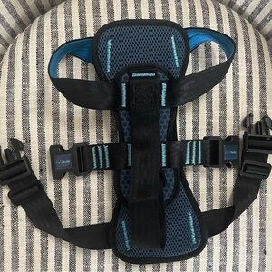 Black and Blue seat belt safety harness for your dog
